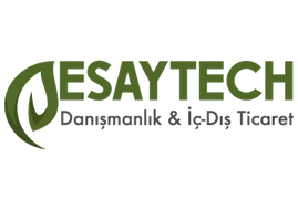 Esaytech Logo